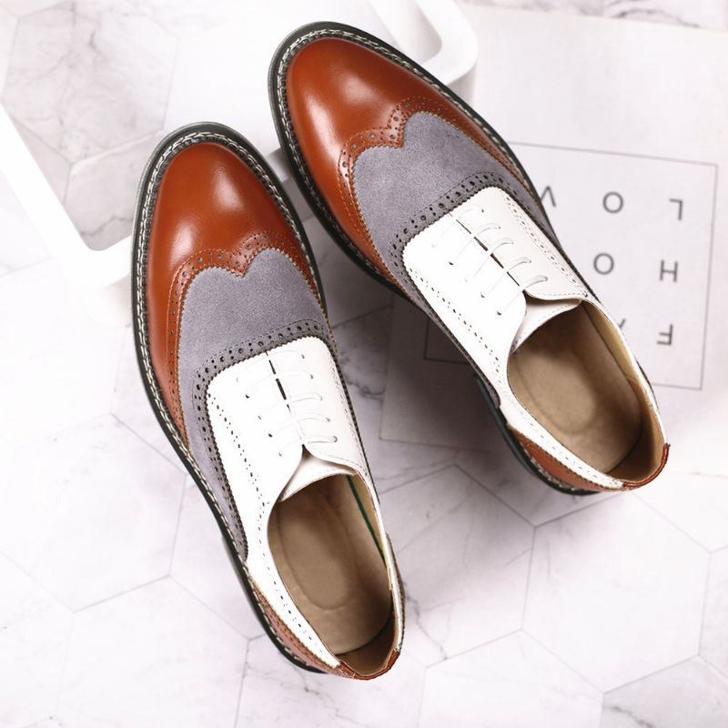 Herre Brogue Colorblock Oxfords Snørebånd Business Casual Formelle Sko